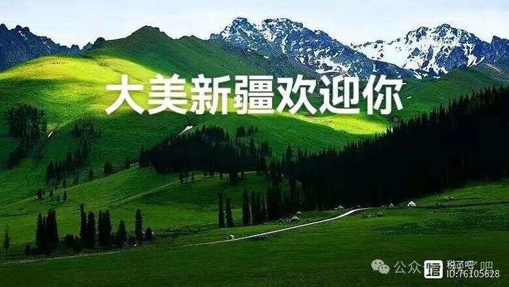 新疆地區(qū)基本面觀察一帶一路上的明珠如何突顯優(yōu)勢
